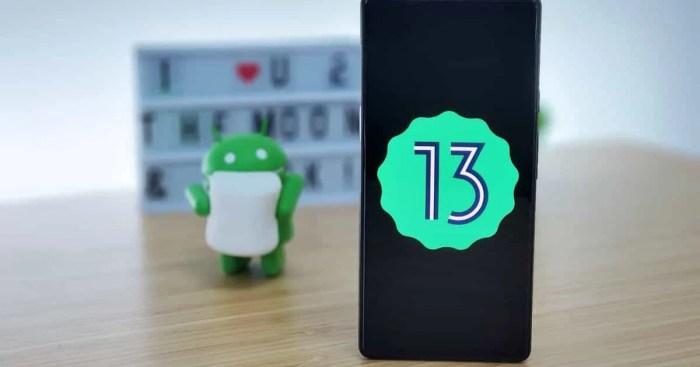 Smartphone Budget Friendly Dengan Sistem Operasi Android 13