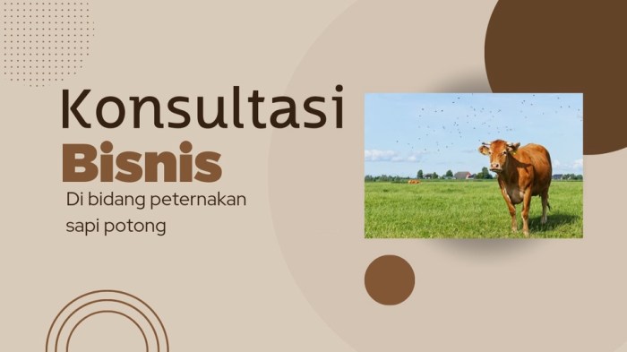 Perhitungan Biaya Operasional Peternakan Sapi Potong Modern